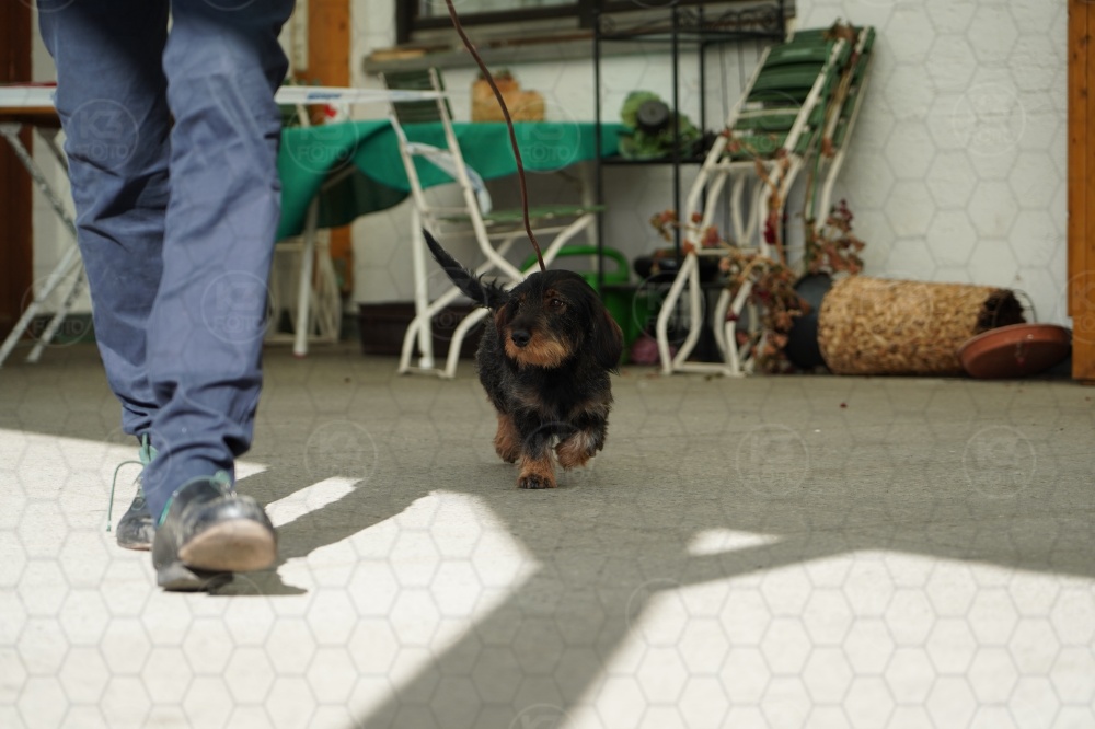 s_A9_09216.jpg